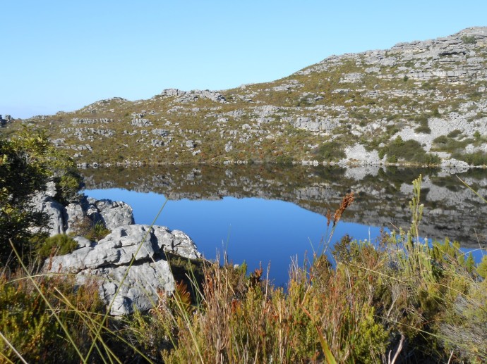 Reflections: De Villiers Reservoir